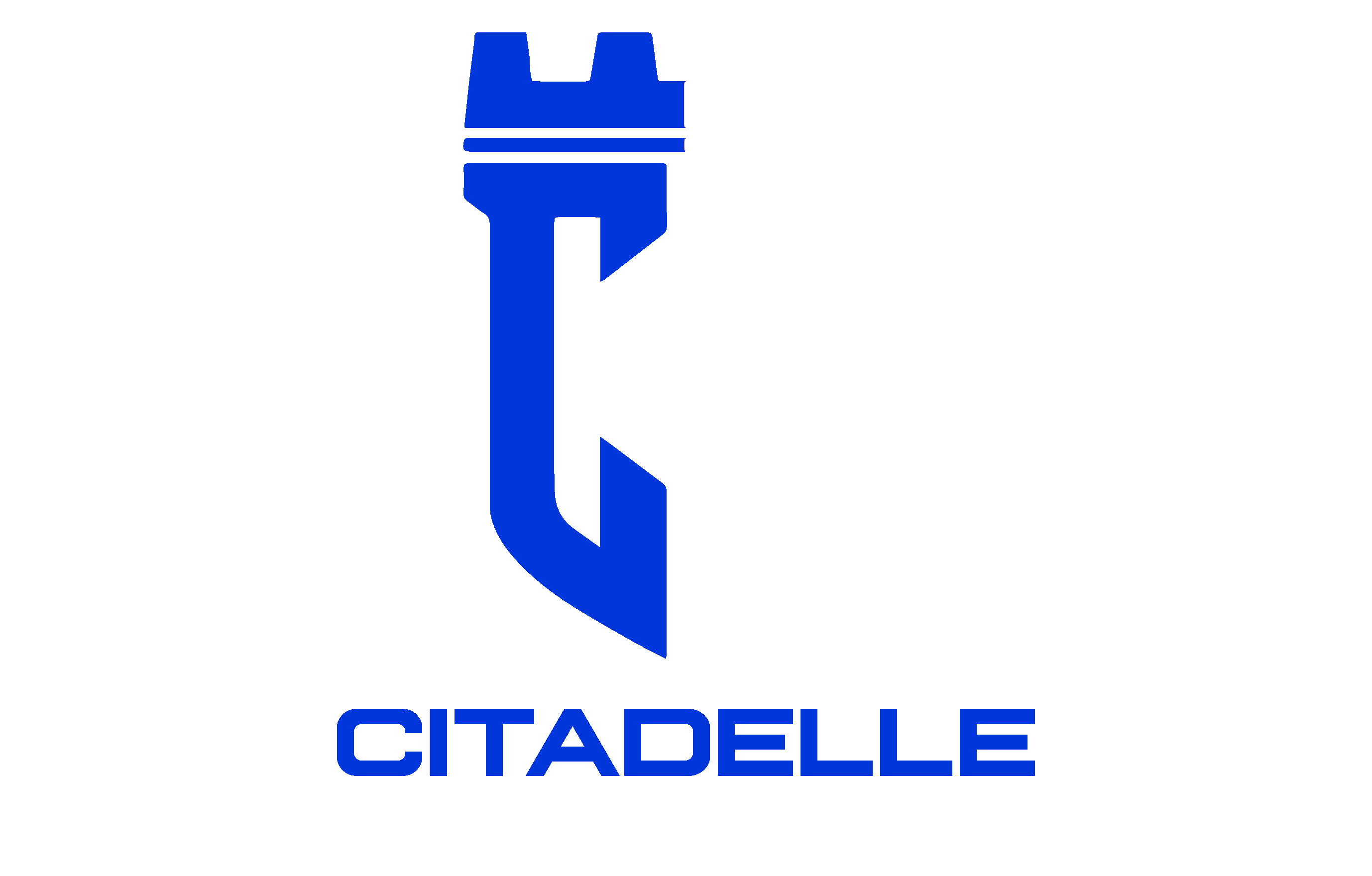 Citadelle Surveillance