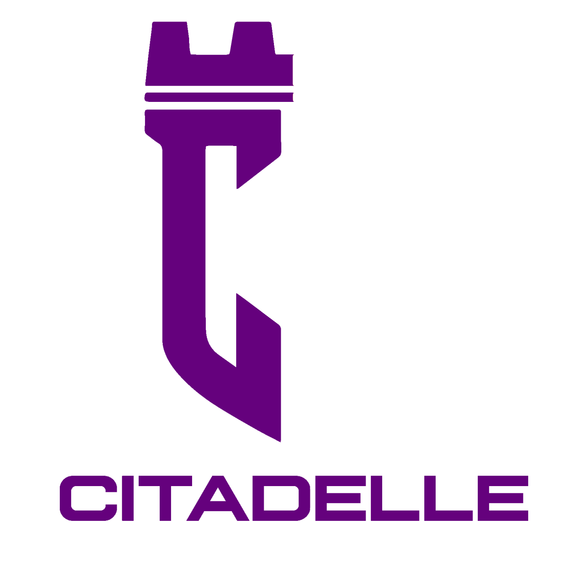 logo violet